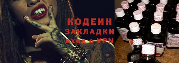 мдпв Гусев