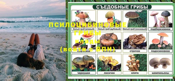 MDMA Дмитриев