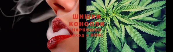 мдпв Гусев