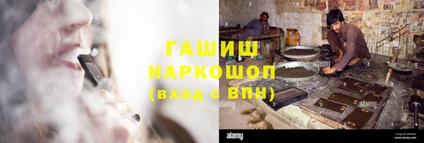 мдпв Гусев