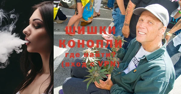 мдпв Гусев