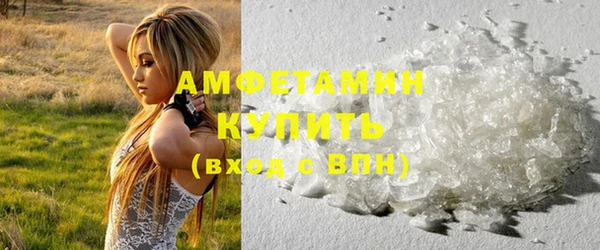 мдпв Гусев