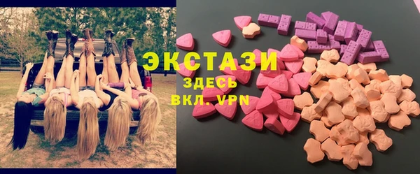 мдпв Гусев