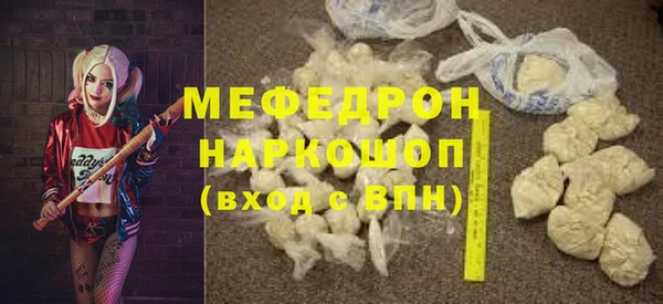 мдпв Гусев