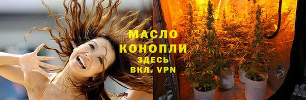 мдпв Гусев