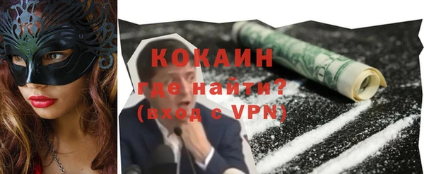 мдпв Гусев